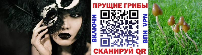 Псилоцибиновые грибы мухоморы  hydra вход  Старая Русса 